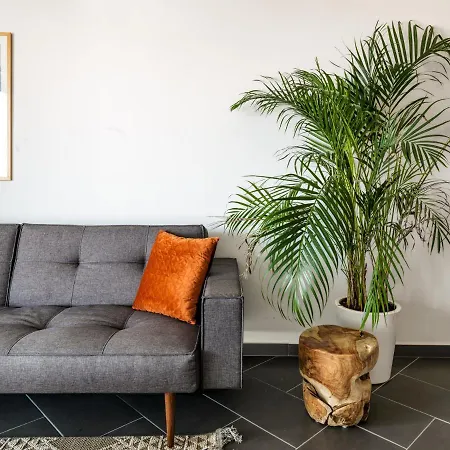 Liv Urban Larnaca